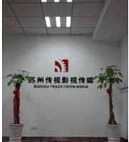 苏州传视影视传媒有限公司