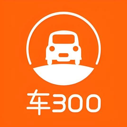 车300二手车