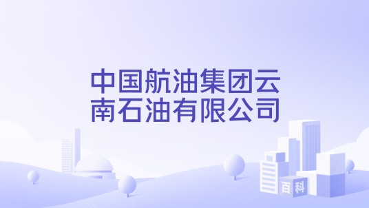 中国航油集团云南石油有限公司