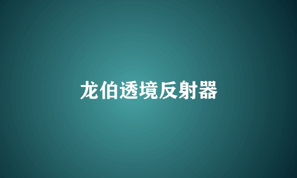 龙伯透境反射器