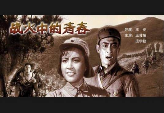 战火中的青春(1DVD)