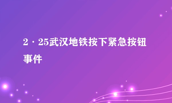 2·25武汉地铁按下紧急按钮事件