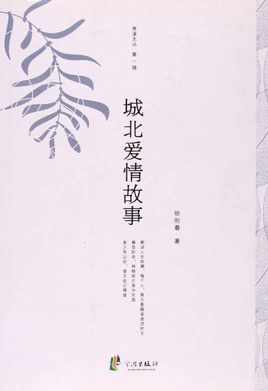 城北爱情故事/慈溪文丛