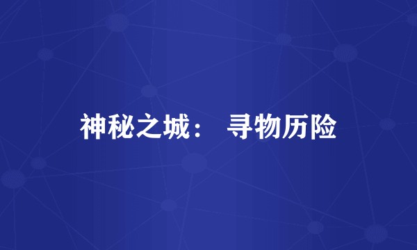 神秘之城： 寻物历险