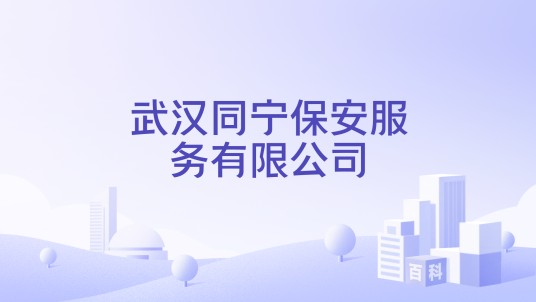 武汉同宁保安服务有限公司