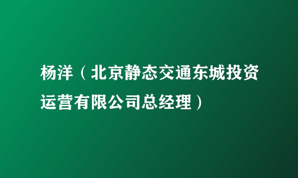 杨洋（北京静态交通东城投资运营有限公司总经理）