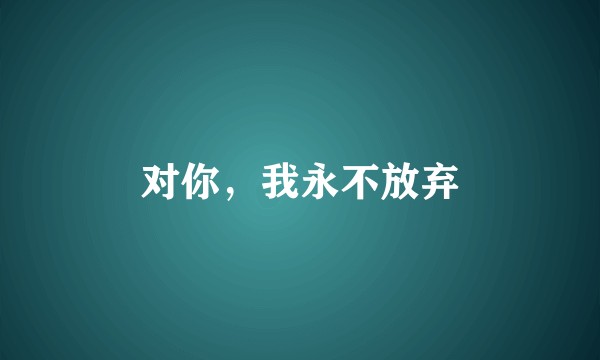 对你，我永不放弃