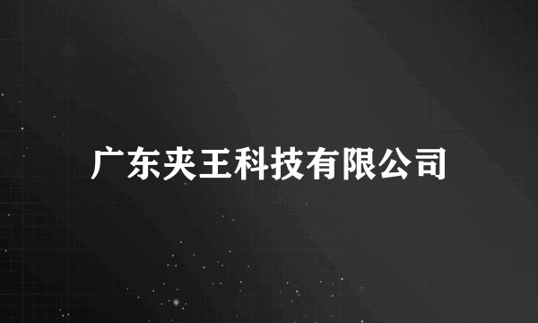 广东夹王科技有限公司