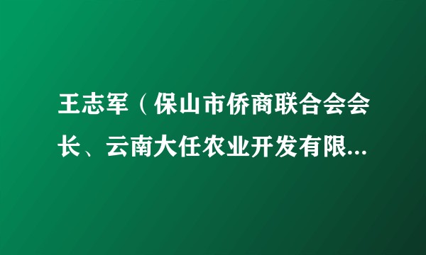 王志军（保山市侨商联合会会长、云南大任农业开发有限公司执行总裁）