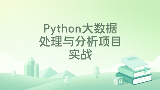Python大数据处理与分析项目实战