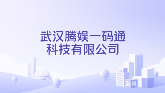 武汉腾娱一码通科技有限公司