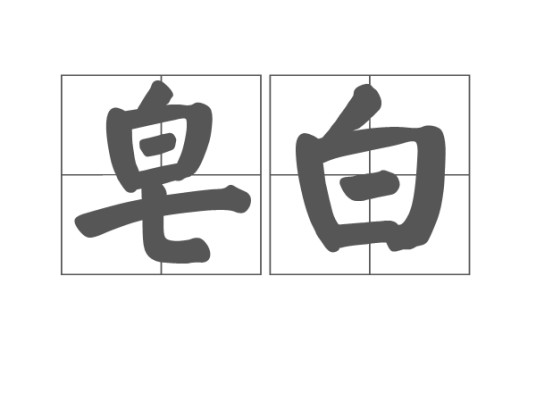 皂白（汉语词语）