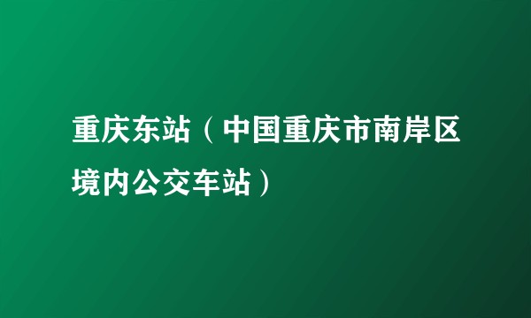 重庆东站（中国重庆市南岸区境内公交车站）