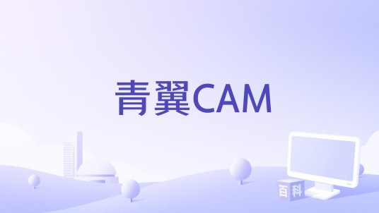 青翼CAM
