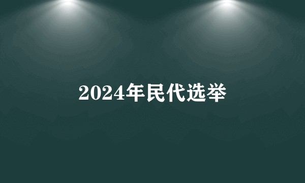 2024年民代选举