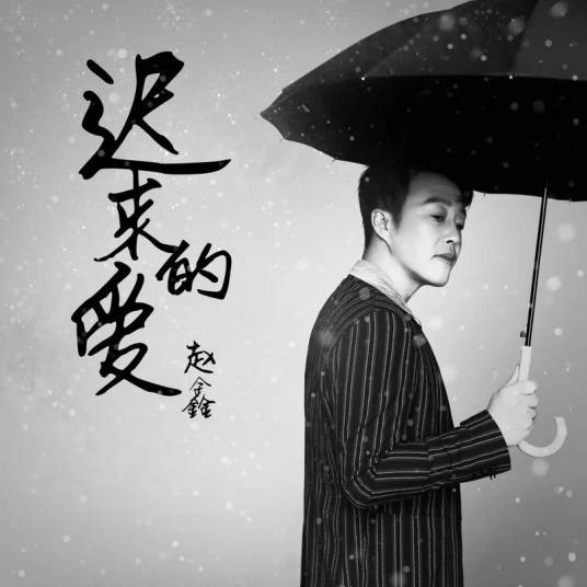 迟来的爱（赵鑫演唱的伤感情歌作品）