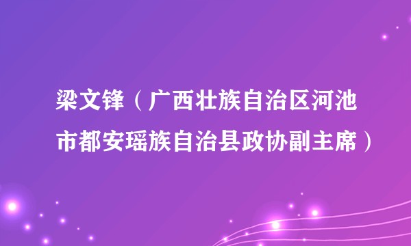 梁文锋（广西壮族自治区河池市都安瑶族自治县政协副主席）
