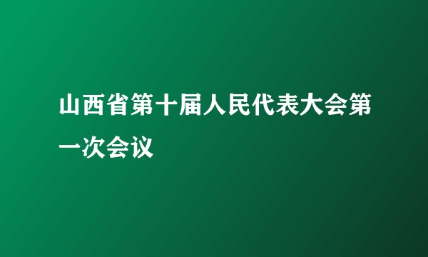 山西省第十届人民代表大会第一次会议