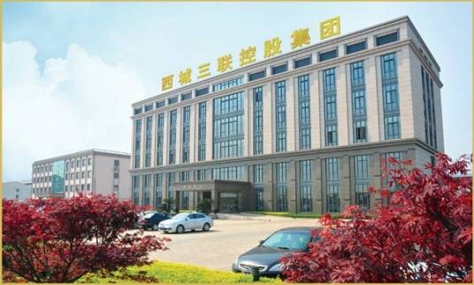 江苏西城三联控股集团有限公司