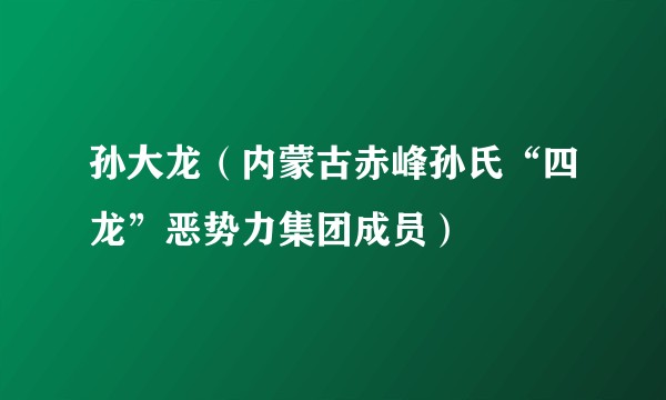 孙大龙（内蒙古赤峰孙氏“四龙”恶势力集团成员）