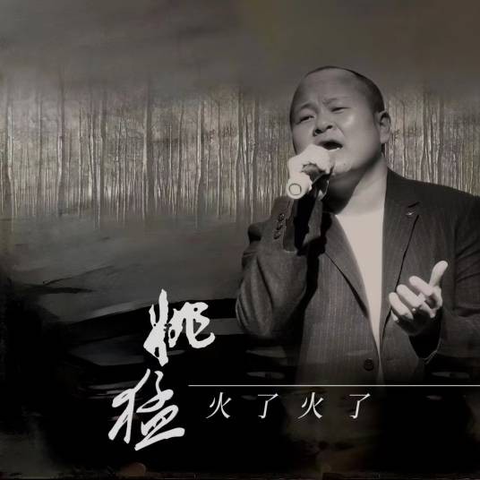 火了火了（姚猛演唱的歌曲）