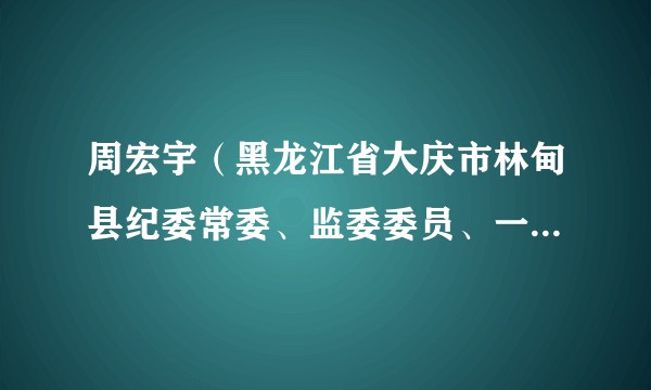 周宏宇（黑龙江省大庆市林甸县纪委常委、监委委员、一级主任科员、一级监察官）