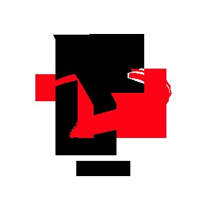 山东中扬信息技术有限公司
