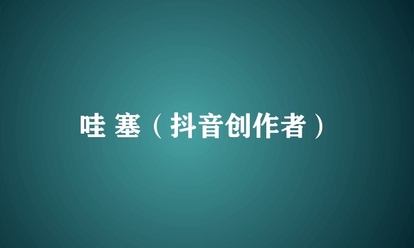 哇 塞（抖音创作者）