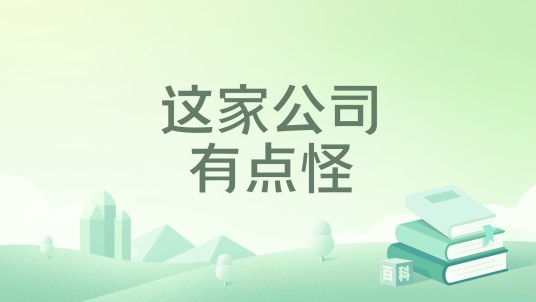 这家公司有点怪