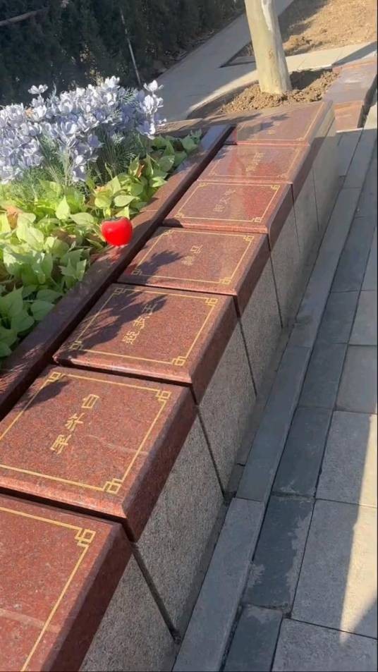 公益树葬