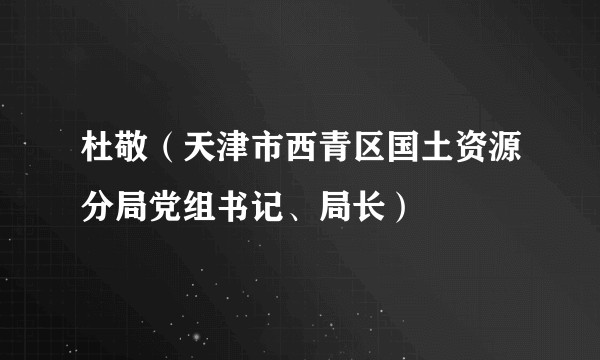 杜敬（天津市西青区国土资源分局党组书记、局长）
