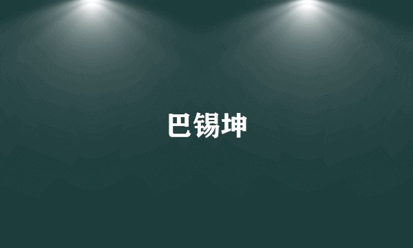 巴锡坤