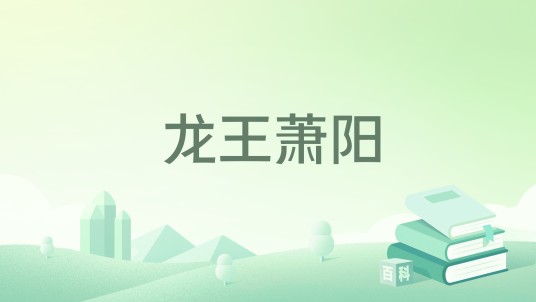 龙王萧阳