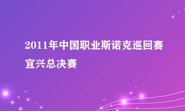 2011年中国职业斯诺克巡回赛宜兴总决赛