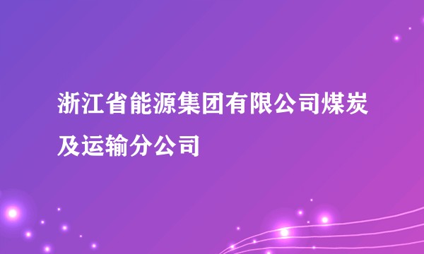 浙江省能源集团有限公司煤炭及运输分公司