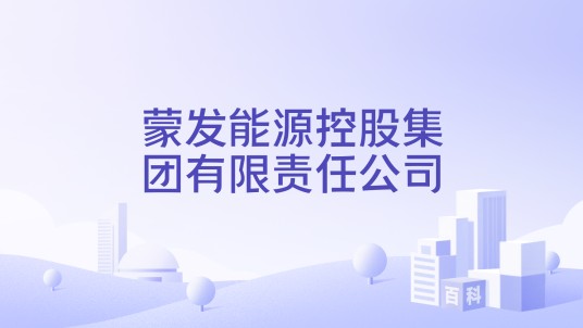 蒙发能源控股集团有限责任公司