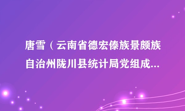 唐雪（云南省德宏傣族景颇族自治州陇川县统计局党组成员、副局长）