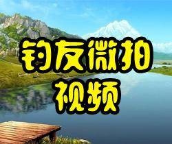 钓友微拍视频