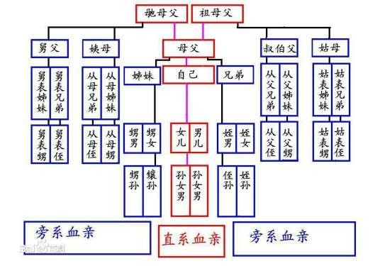 表姊妹