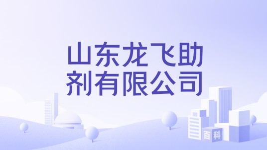 山东龙飞助剂有限公司