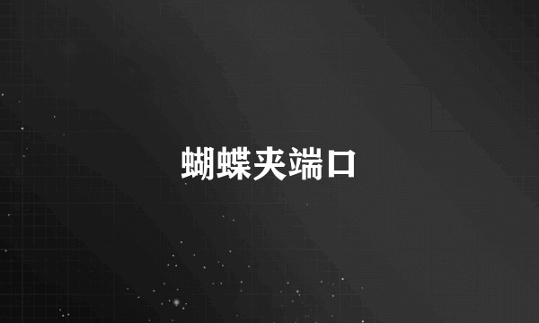 蝴蝶夹端口