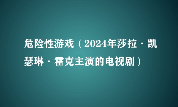 危险性游戏（2024年莎拉·凯瑟琳·霍克主演的电视剧）