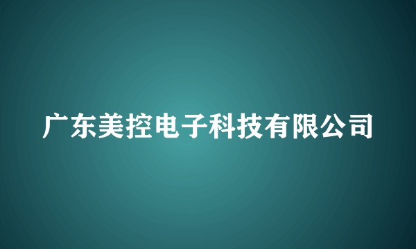 广东美控电子科技有限公司