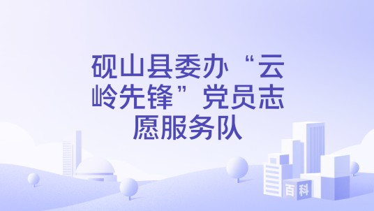 砚山县委办“云岭先锋”党员志愿服务队