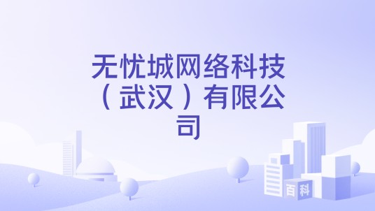 无忧城网络科技（武汉）有限公司
