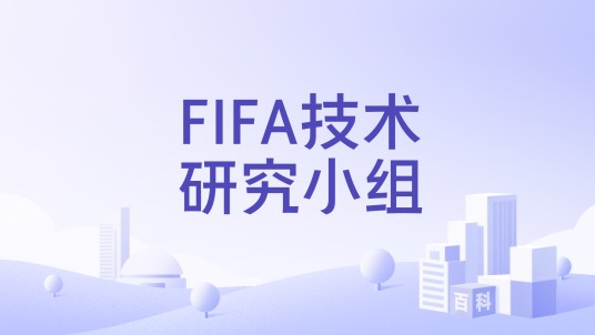 FIFA技术研究小组