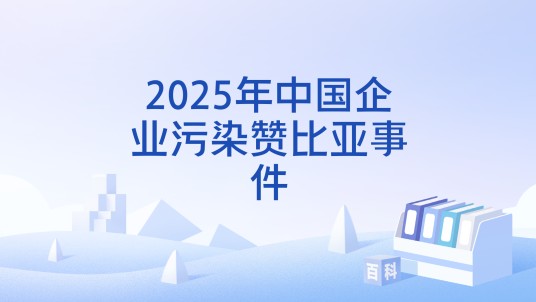 2025年中国企业污染赞比亚事件