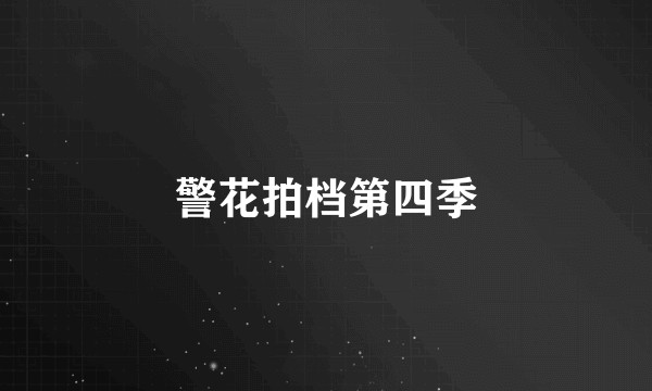 警花拍档第四季