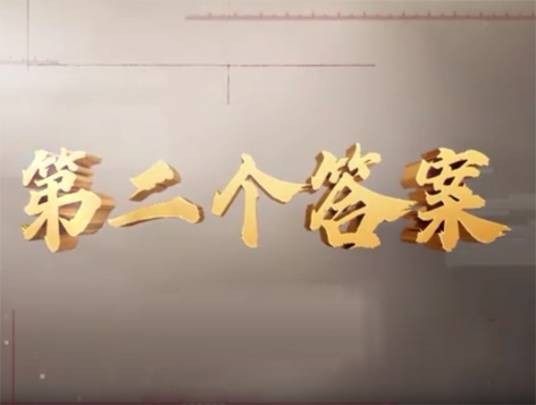 第二个答案（政论专题片）