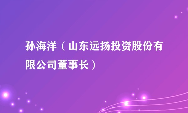 孙海洋（山东远扬投资股份有限公司董事长）